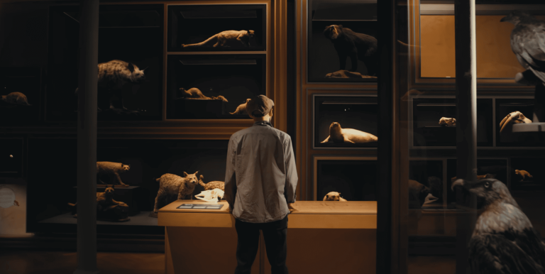 Musées de Strasbourg – Série de présentation
