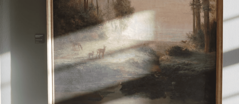 Musées de Strasbourg – Exposition Lumière sur le vivant, Vincent Munier