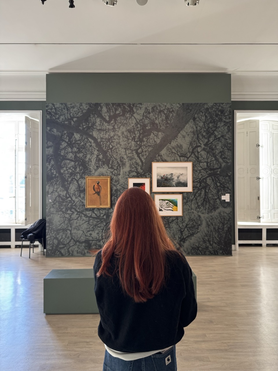 Gallery image 1