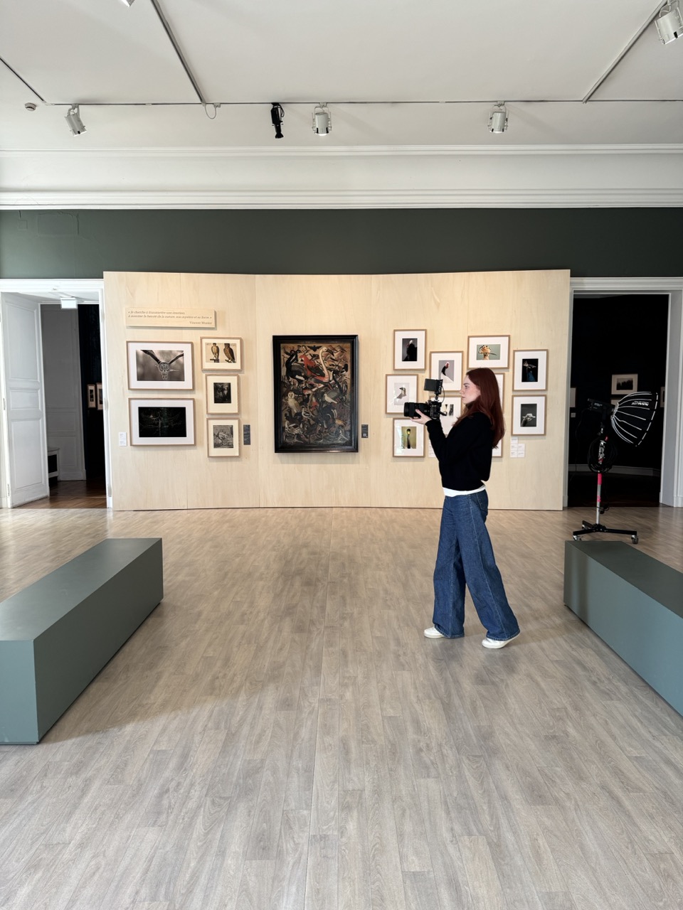 Gallery image 5